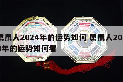 属鼠人2024年的运势如何 属鼠人2024年的运势如何看