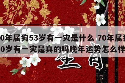70年属狗53岁有一灾是什么 70年属狗50岁有一灾是真的吗晚年运势怎么样