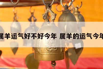 属羊运气好不好今年 属羊的运气今年