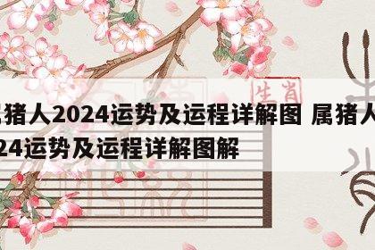 属猪人2024运势及运程详解图 属猪人2024运势及运程详解图解