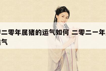二零二零年属猪的运气如何 二零二一年属猪的运气