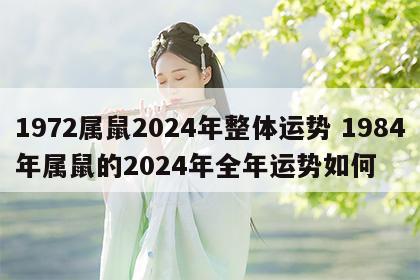 1972属鼠2024年整体运势 1984年属鼠的2024年全年运势如何