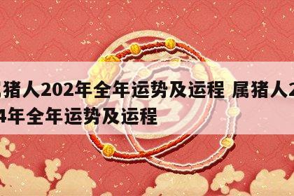 属猪人202年全年运势及运程 属猪人2024年全年运势及运程