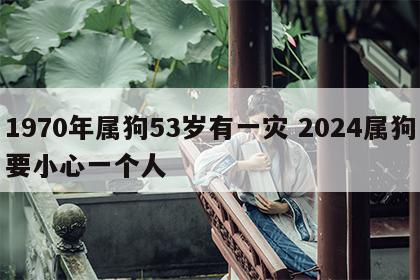 1970年属狗53岁有一灾 2024属狗要小心一个人