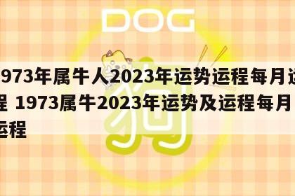 1973年属牛人2023年运势运程每月运程 1973属牛2023年运势及运程每月运程