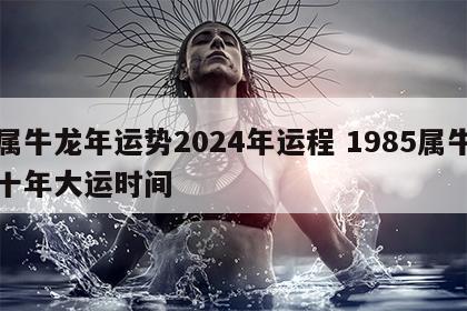 属牛龙年运势2024年运程 1985属牛十年大运时间