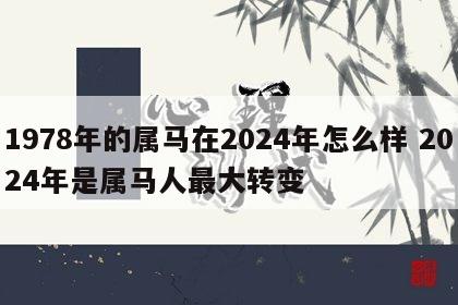 1978年的属马在2024年怎么样 2024年是属马人最大转变