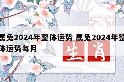 属兔2024年整体运势 属兔2024年整体运势每月