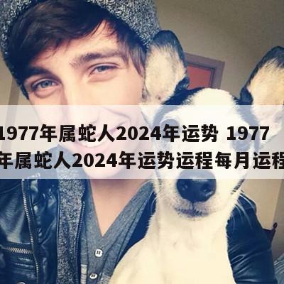 1977年属蛇人2024年运势 1977年属蛇人2024年运势运程每月运程