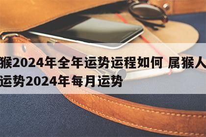 属猴2024年全年运势运程如何 属猴人今年运势2024年每月运势