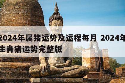 2024年属猪运势及运程每月 2024年生肖猪运势完整版