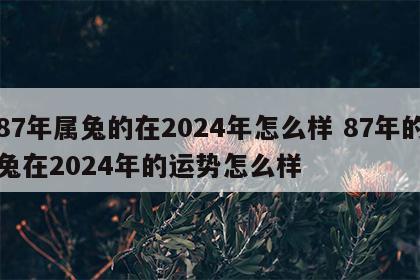87年属兔的在2024年怎么样 87年的兔在2024年的运势怎么样