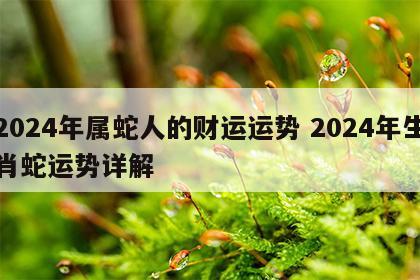 2024年属蛇人的财运运势 2024年生肖蛇运势详解