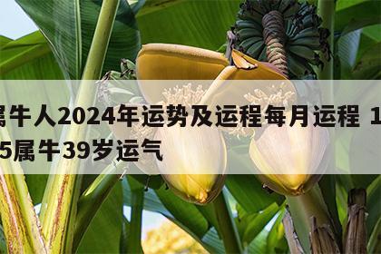 属牛人2024年运势及运程每月运程 1985属牛39岁运气