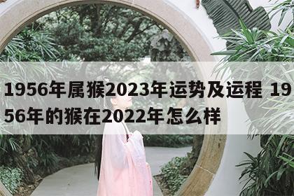 1956年属猴2023年运势及运程 1956年的猴在2022年怎么样