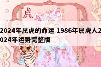 2024年属虎的命运 1986年属虎人2024年运势完整版