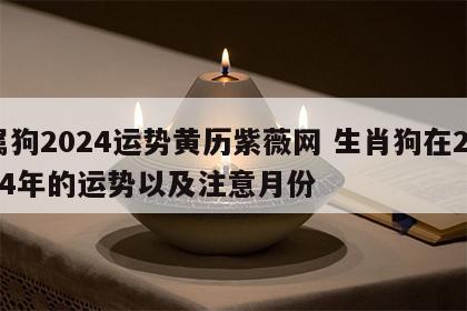 属狗2024运势黄历紫薇网 生肖狗在2024年的运势以及注意月份