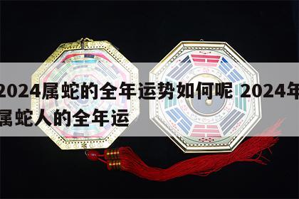 2024属蛇的全年运势如何呢 2024年属蛇人的全年运