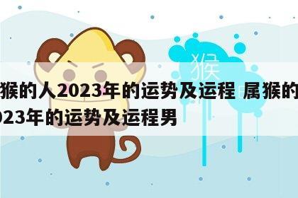 属猴的人2023年的运势及运程 属猴的人2023年的运势及运程男
