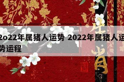 2o22年属猪人运势 2022年属猪人运势运程