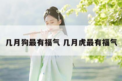 几月狗最有福气 几月虎最有福气
