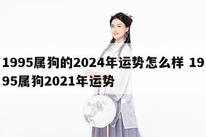 1995属狗的2024年运势怎么样 1995属狗2021年运势