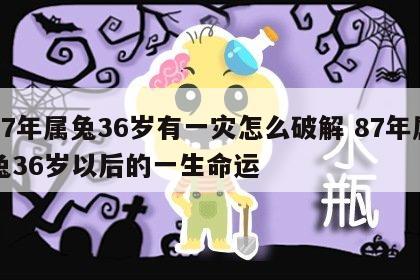 87年属兔36岁有一灾怎么破解 87年属兔36岁以后的一生命运