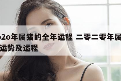 2o2o年属猪的全年运程 二零二零年属猪的运势及运程