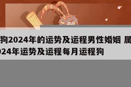 属狗2024年的运势及运程男性婚姻 属狗2024年运势及运程每月运程狗