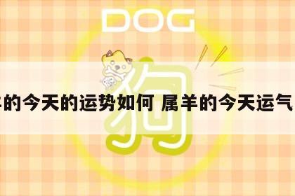 属羊的今天的运势如何 属羊的今天运气怎样
