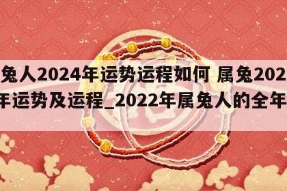 属兔人2024年运势运程如何 属兔2024年运势及运程_2022年属兔人的全年运势
