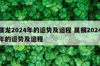 属龙2024年的运势及运程 属猴2024年的运势及运程