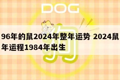 96年的鼠2024年整年运势 2024鼠年运程1984年出生