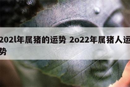 202l年属猪的运势 2o22年属猪人运势