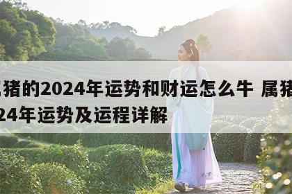 属猪的2024年运势和财运怎么牛 属猪2024年运势及运程详解