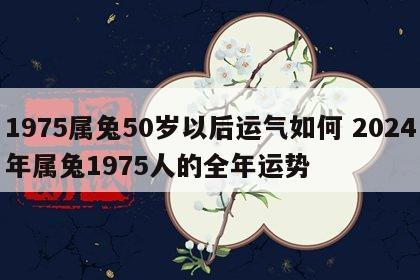 1975属兔50岁以后运气如何 2024年属兔1975人的全年运势