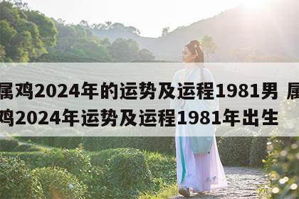 属鸡2024年的运势及运程1981男 属鸡2024年运势及运程1981年出生