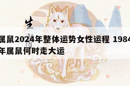 属鼠2024年整体运势女性运程 1984年属鼠何时走大运