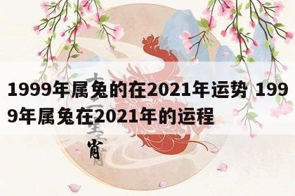1999年属兔的在2021年运势 1999年属兔在2021年的运程