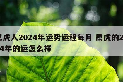 属虎人2024年运势运程每月 属虎的2024年的运怎么样