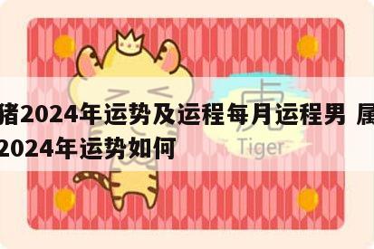 属猪2024年运势及运程每月运程男 属猪的2024年运势如何