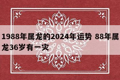 1988年属龙的2024年运势 88年属龙36岁有一灾