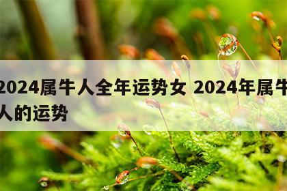 2024属牛人全年运势女 2024年属牛人的运势