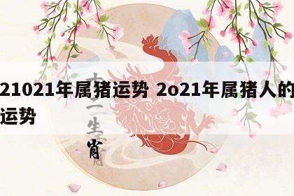 21021年属猪运势 2o21年属猪人的运势