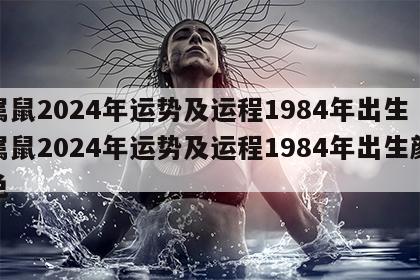 属鼠2024年运势及运程1984年出生 属鼠2024年运势及运程1984年出生颜色