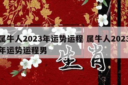 属牛人2023年运势运程 属牛人2023年运势运程男