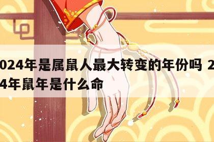 2024年是属鼠人最大转变的年份吗 2024年鼠年是什么命