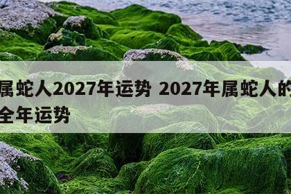 属蛇人2027年运势 2027年属蛇人的全年运势