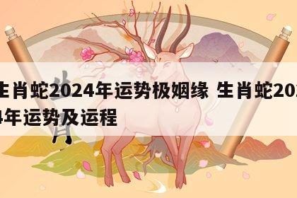 生肖蛇2024年运势极姻缘 生肖蛇2024年运势及运程
