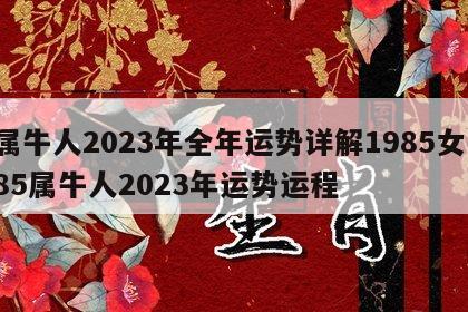 属牛人2023年全年运势详解1985女 85属牛人2023年运势运程